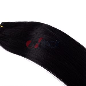 Hair weft #1